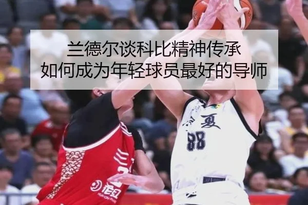 兰德尔谈科比精神传承 如何成为年轻球员最好的导师 - 3377Sports